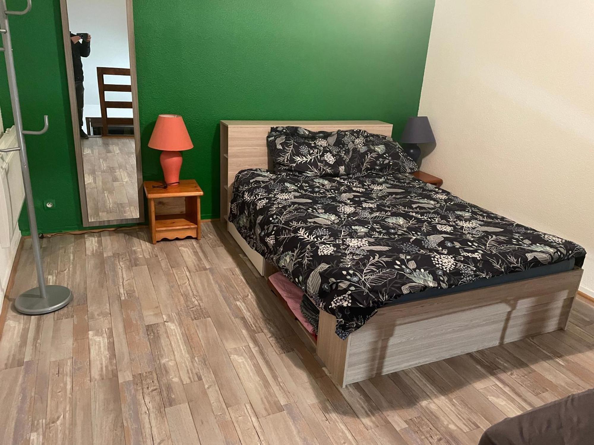 Appartement Duplex T1 Albertville Buitenkant foto