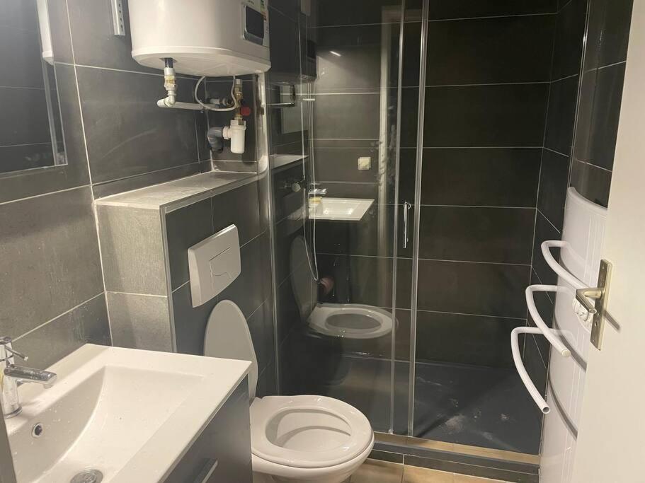 Appartement Duplex T1 Albertville Buitenkant foto