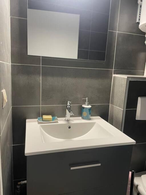 Appartement Duplex T1 Albertville Buitenkant foto