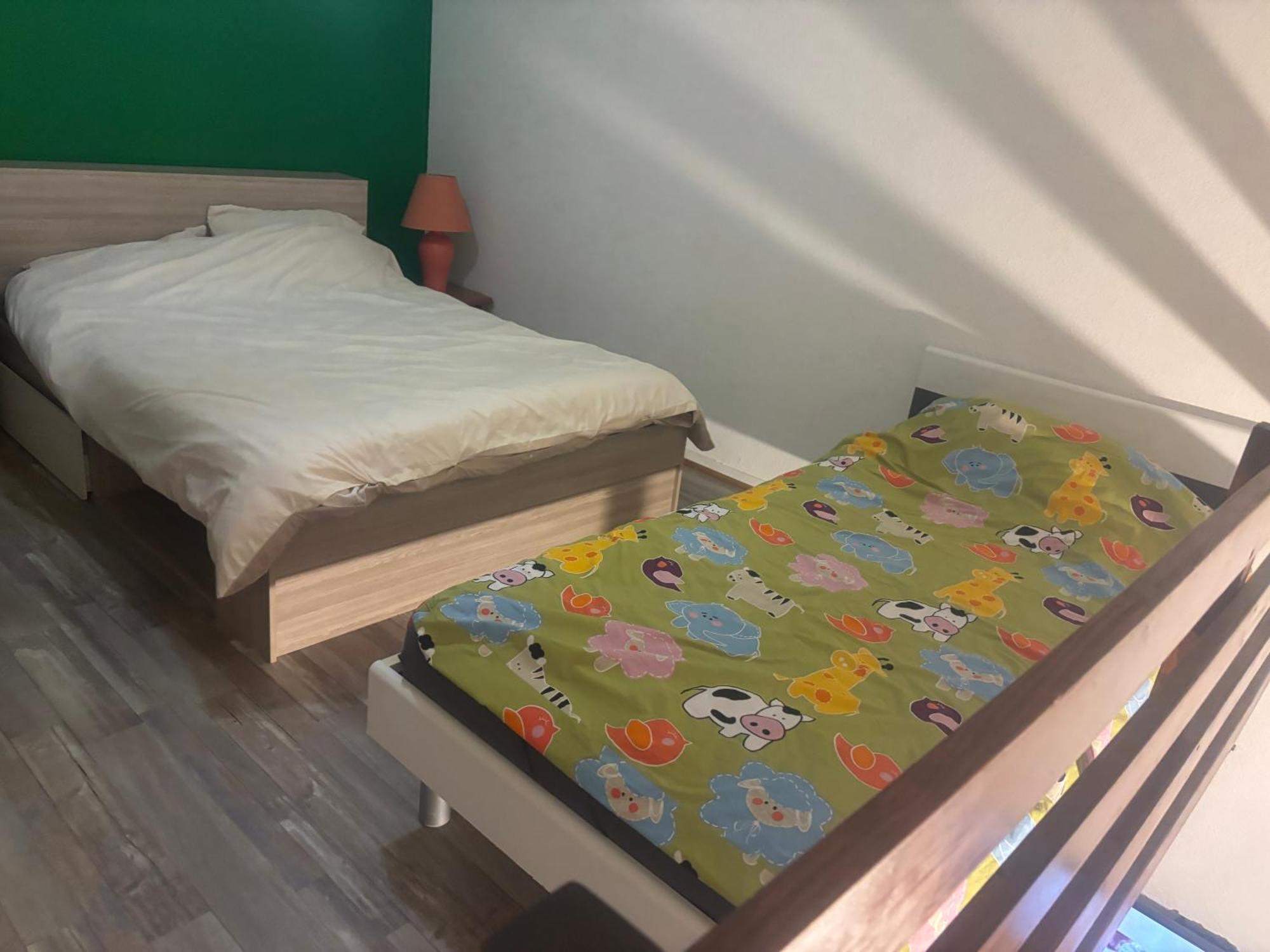 Appartement Duplex T1 Albertville Buitenkant foto