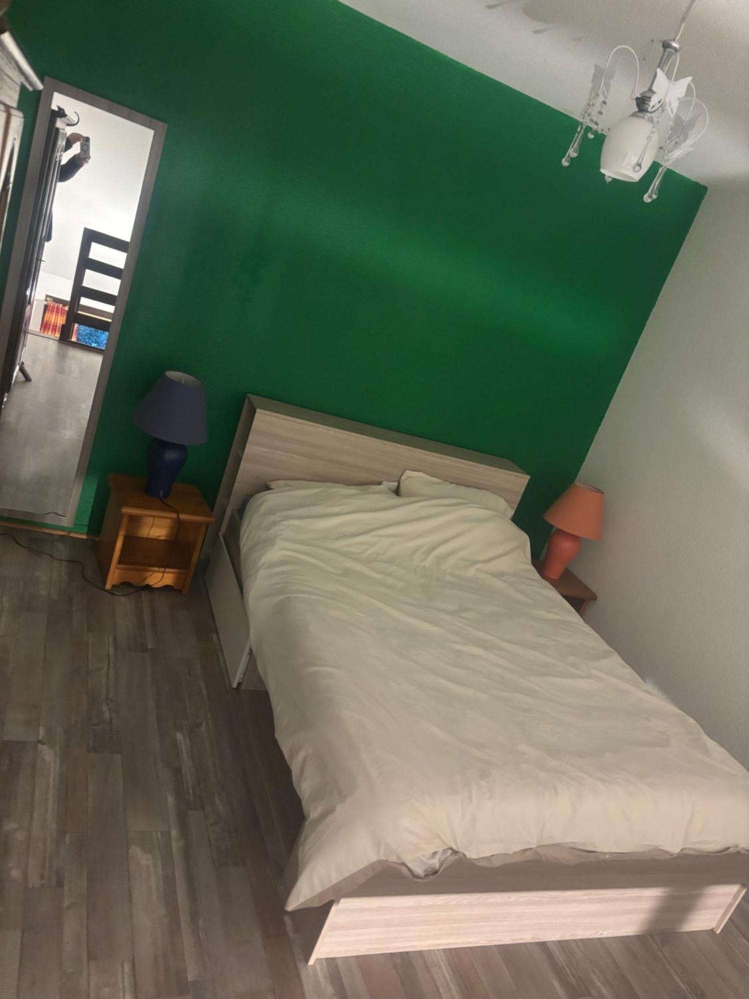 Appartement Duplex T1 Albertville Buitenkant foto