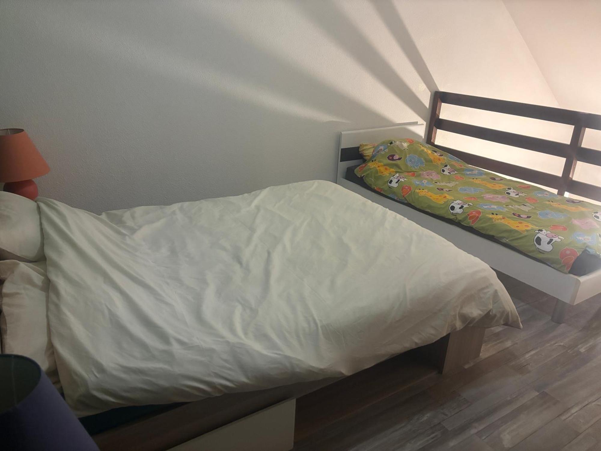 Appartement Duplex T1 Albertville Buitenkant foto