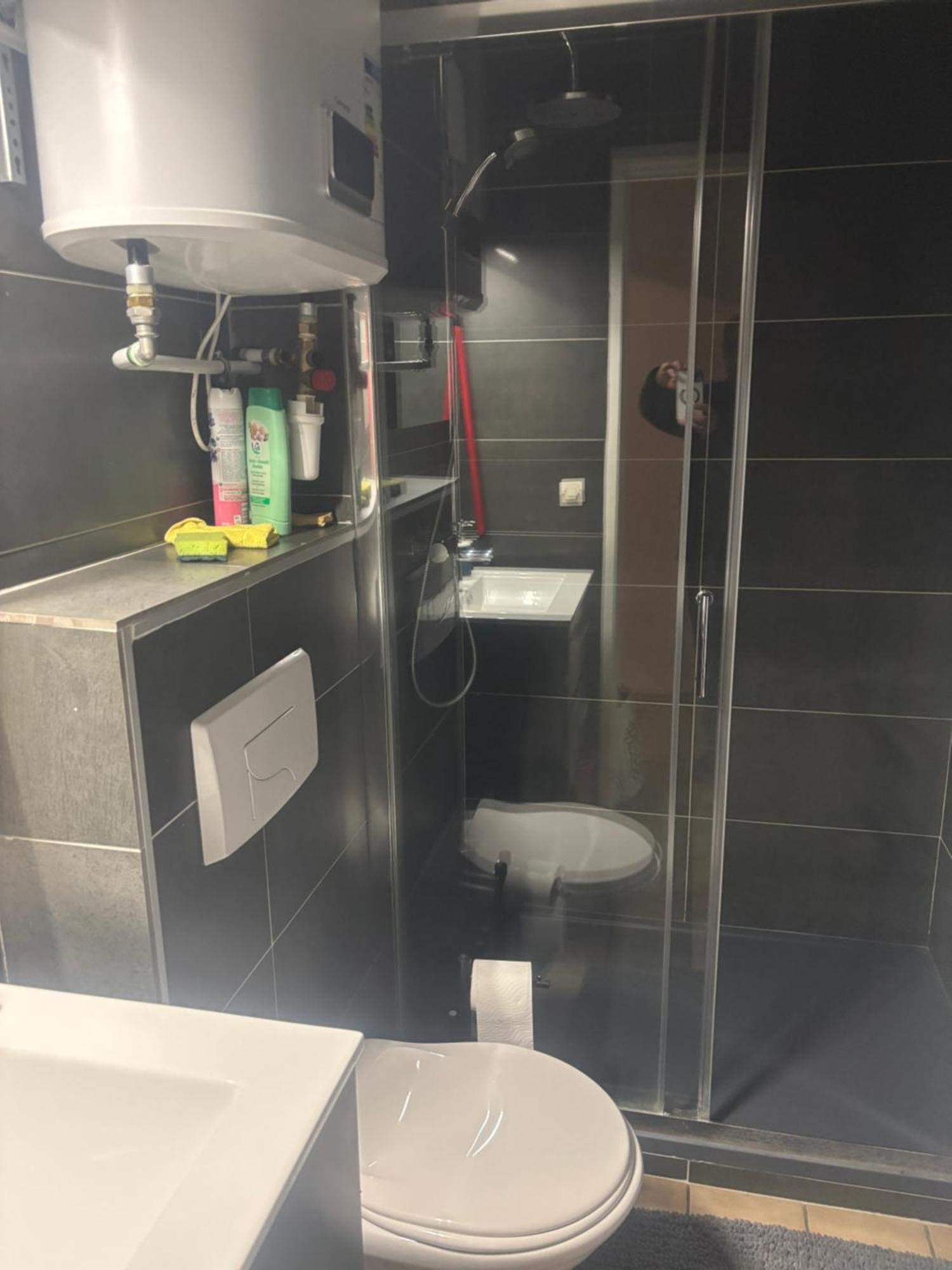 Appartement Duplex T1 Albertville Buitenkant foto