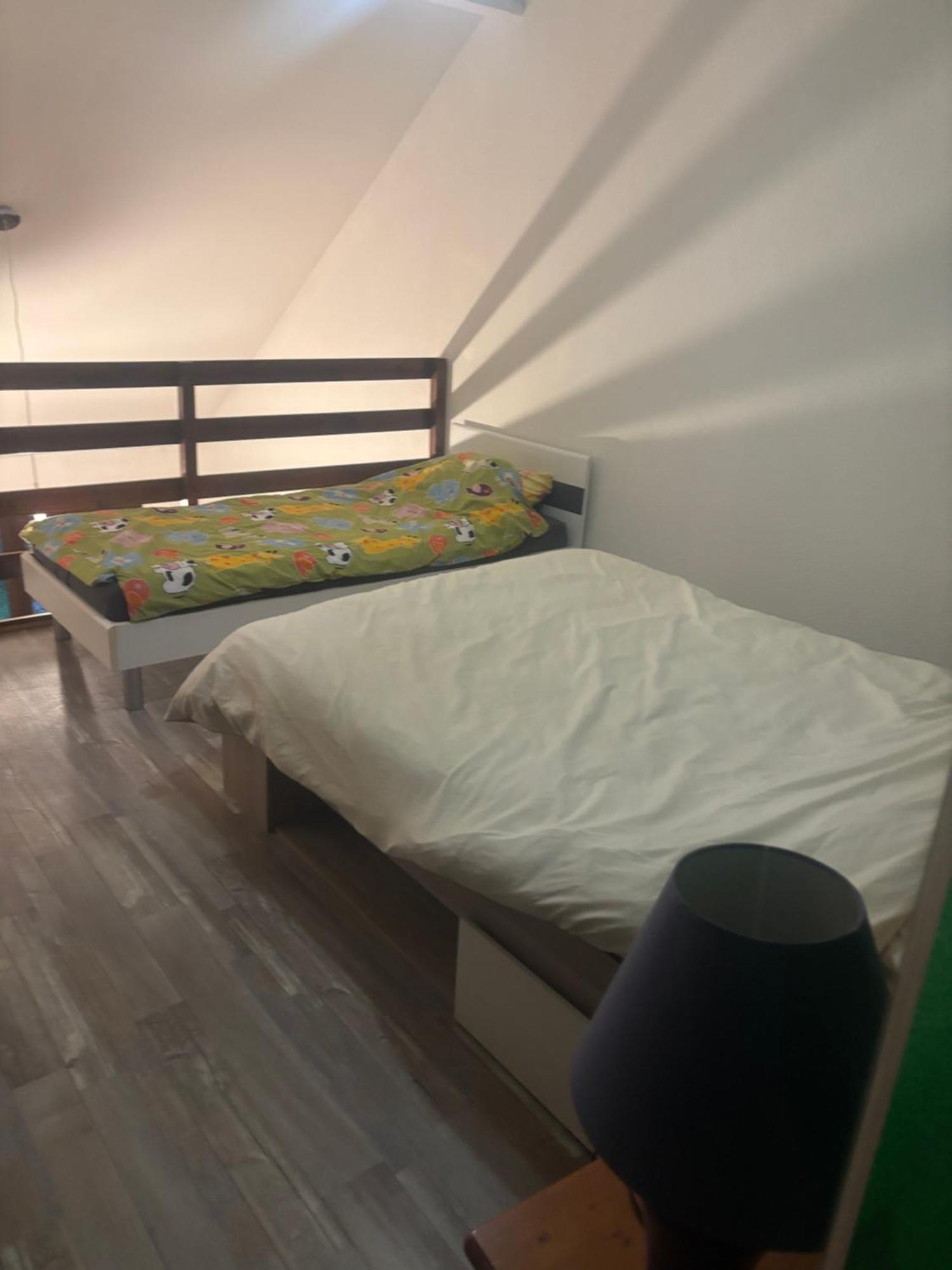 Appartement Duplex T1 Albertville Buitenkant foto